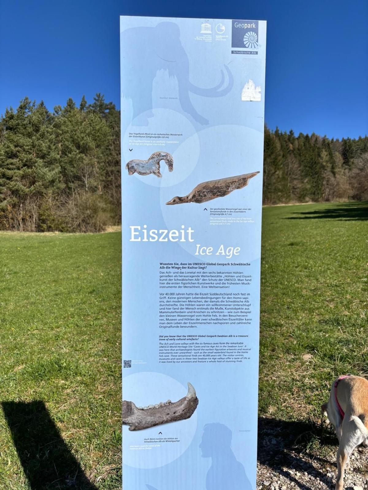 Apartamento Atemberaubender Ausblick Mit Premium-Wanderwegen Vor Der Haustuer Albstadt Exterior foto
